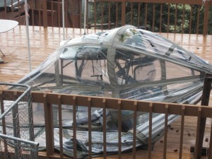 Greenhouse Conservatory distroyed by weather